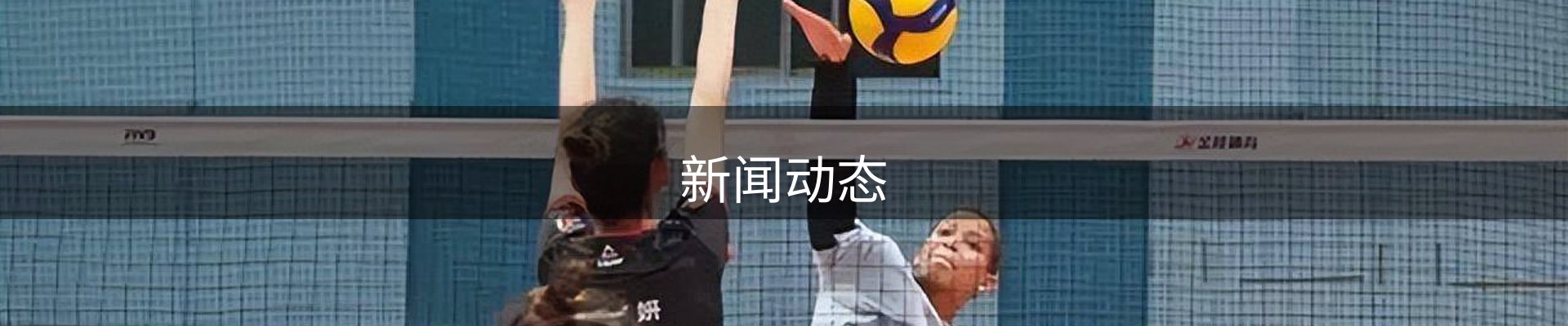 新闻动态